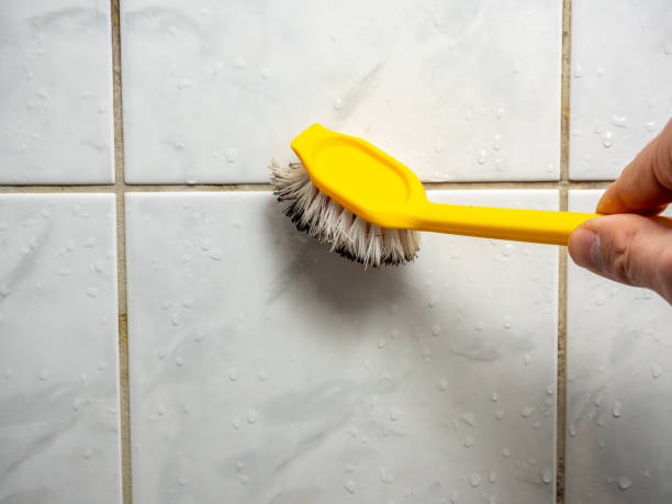 Best Affordable Mold Removal  in Leo Cedarville, IN