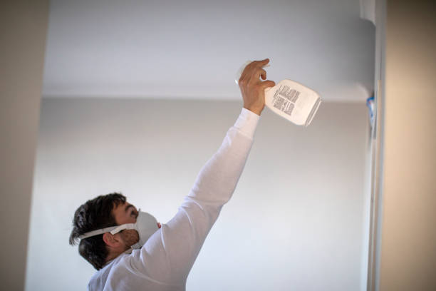 Best Water Damage Restoration  in Leo Cedarville, IN