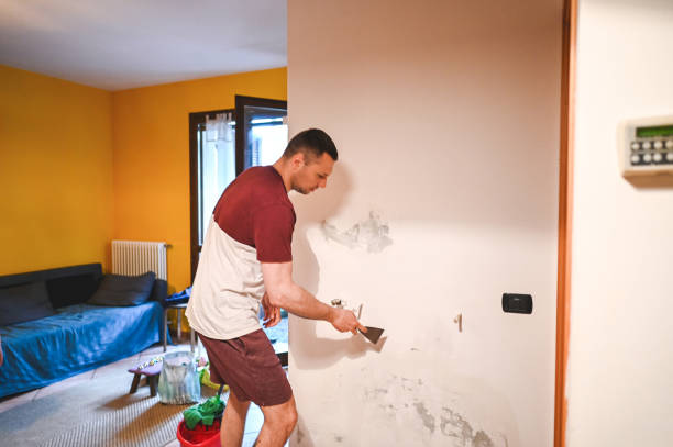 Mold Testing and Removal in Leo Cedarville, IN